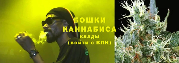гидра Снежинск