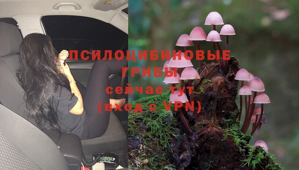 мескалин Алзамай