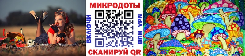 купить  сайты  Киселёвск  Псилоцибиновые грибы GOLDEN TEACHER 
